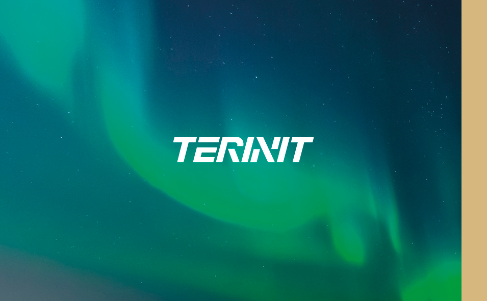 Terinit logo with northern lights on the background.